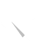 The Web People