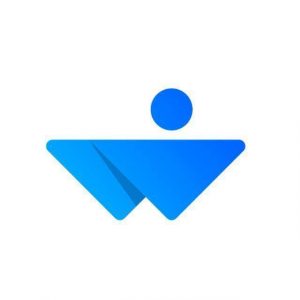 Team The Web People